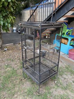 Bird Cage