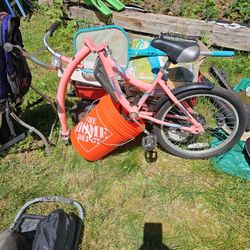 Tag Along Bike WEE RIDE COPILOT