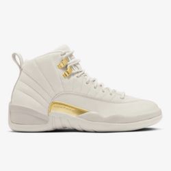 Air Jordan 12 Size 11   (women)