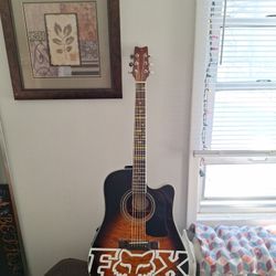 Washburn Guitar