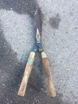 scissors for the garden antique