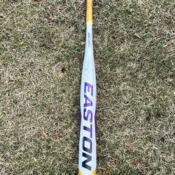 Easton Aluminum Bat 