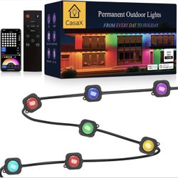 Year Round Permanent Lights 