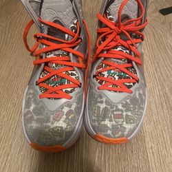 Lebrons Shoe