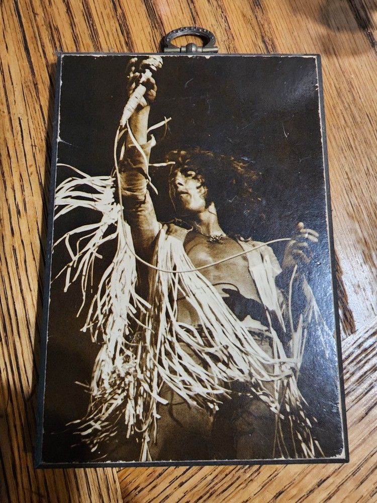 Roger Daltrey The Who Woodstock