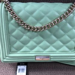 BCBG Bag