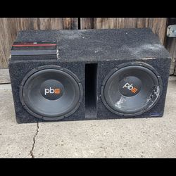 Pro Bass Speakers And Dual Amp