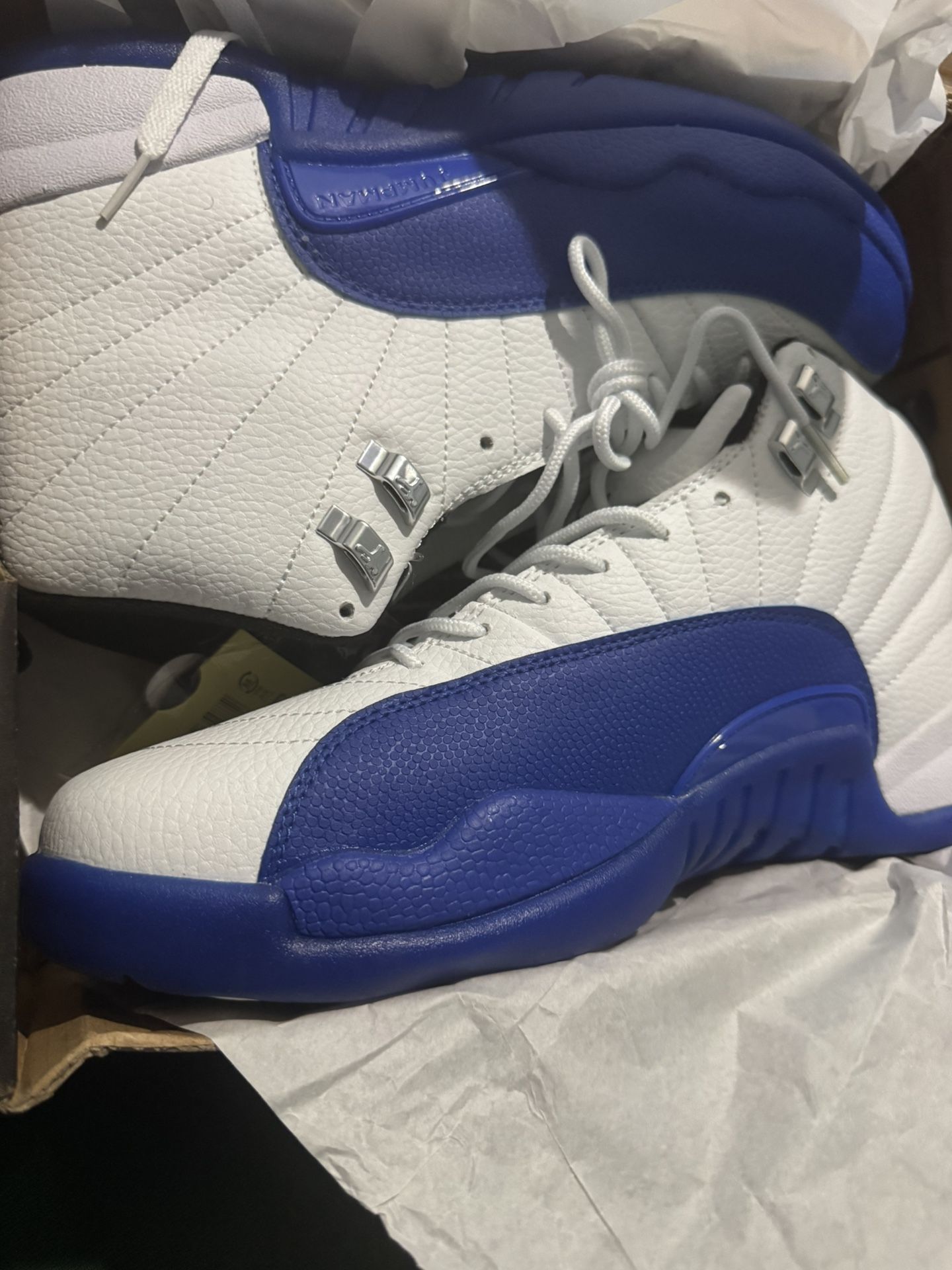 Jordan 12 Blueberry Sz 13