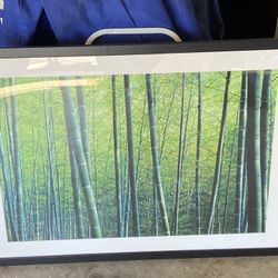 Framed Bamboo Forest Custome Framed Wall Display