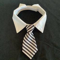 Doggie Tie