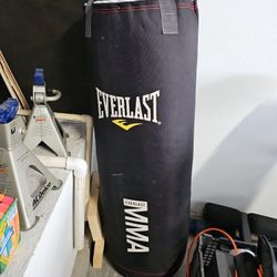 Everlasting MMA Punching bag