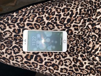 iPhone 6 Plus