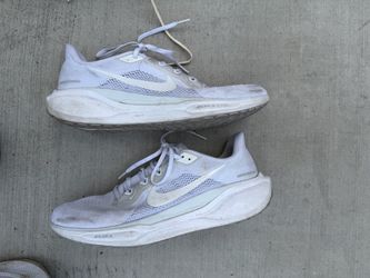 Nike pegasus 41