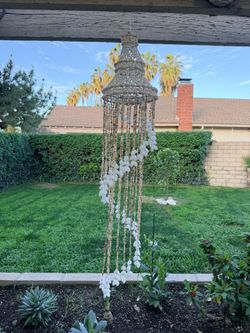 Large Seashell Chandelier