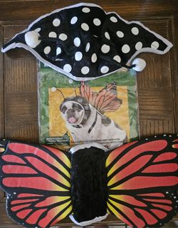 Butterfly Dog Costume Set From Animal Planet Size Medium
