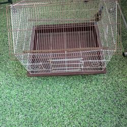 Small Bird Cage 