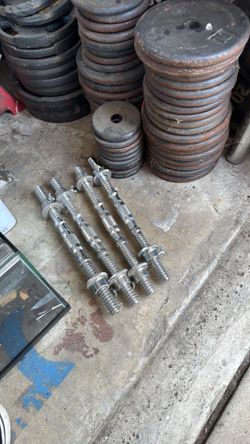 1in weight plates