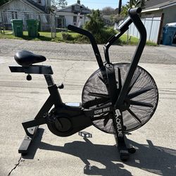 Rogue Echo Bike