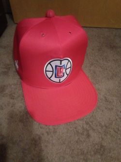 Dog house hat