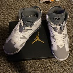 Air Jordan 6 Retro 'Cool Grey'