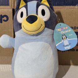 Squishmallow Bluey