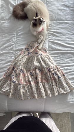 Girl dress size 4