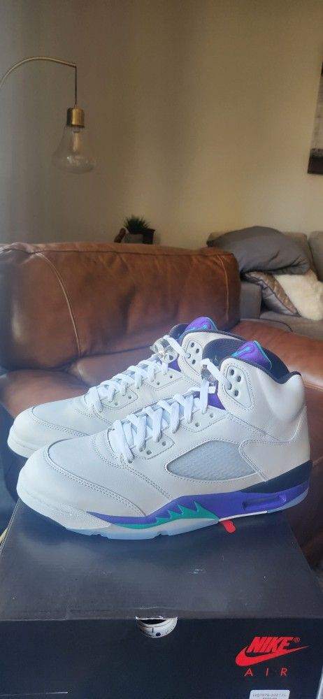 🍇 Jordan 5 Grapes Sz-11M 🍇