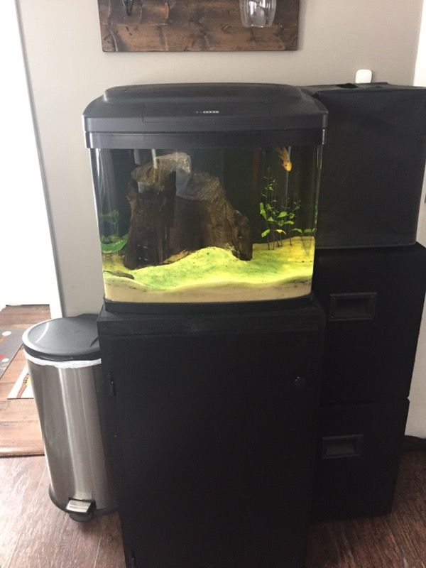 39 Gallon BioCube Aquarium Reef