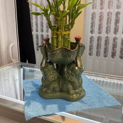 Bamboo