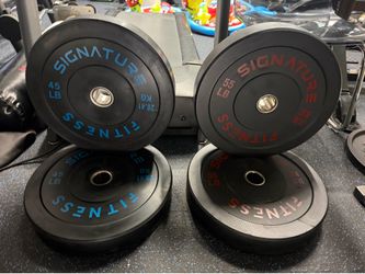 Pair of 45 and 55 llbs bumper plates