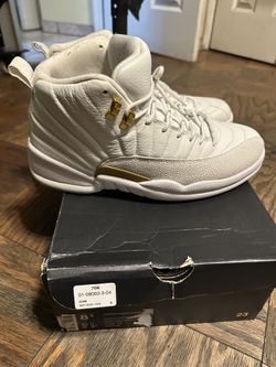 Jordan Retro 12 Ovo Edition