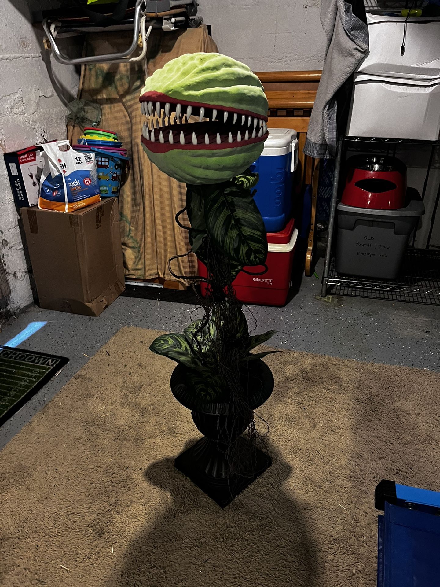 Little Shop Of horrors Venus Flytrap