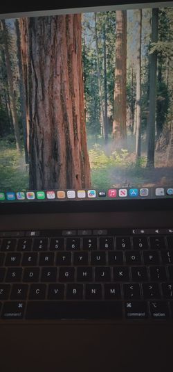 Mac book pro think 16gb ram