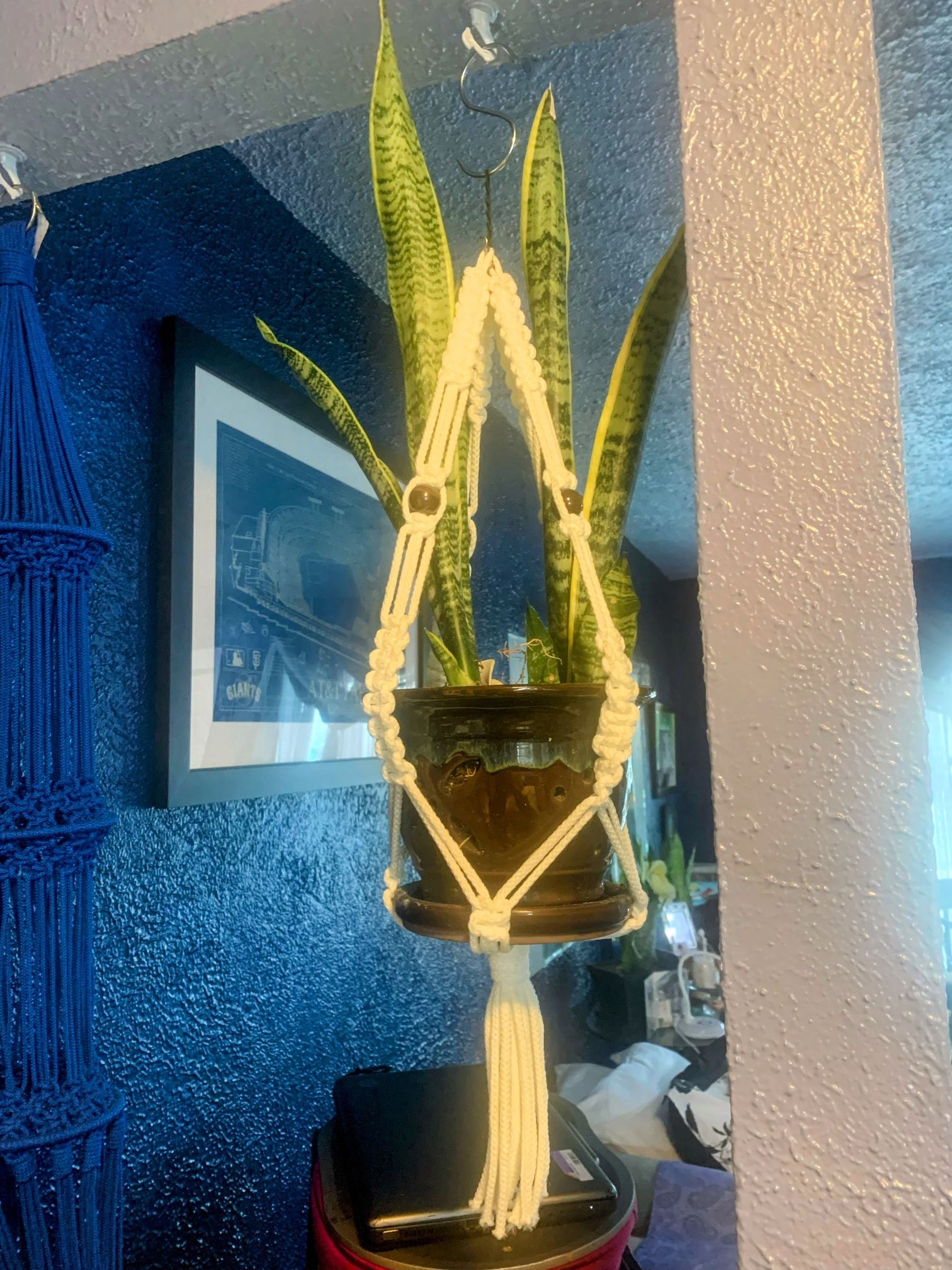 Hanging Macrame Plant Holder $20
