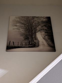 4 Ft  Tall * 4 Ft wide   Wall Hanging On Canvas asking 45.00 