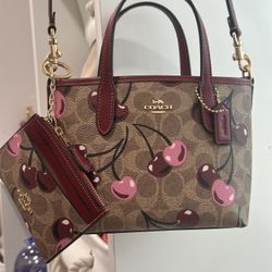 Coach Mini City Tote And Wallet