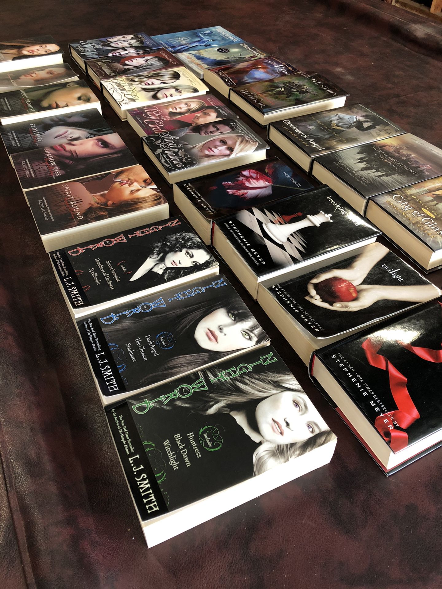 Selling book bundle, twilight series, vampire academy, bloodlines, night world and more