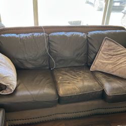 Couch’s 
