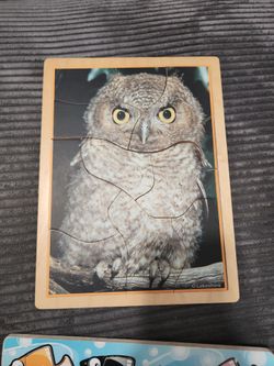 Wooded Lakeshore owl puzze