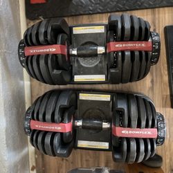 BowFlex SelectTech 552 Adjustable Dumbbells