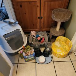 Cat Supplies 