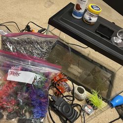 Fish Tank Set Up