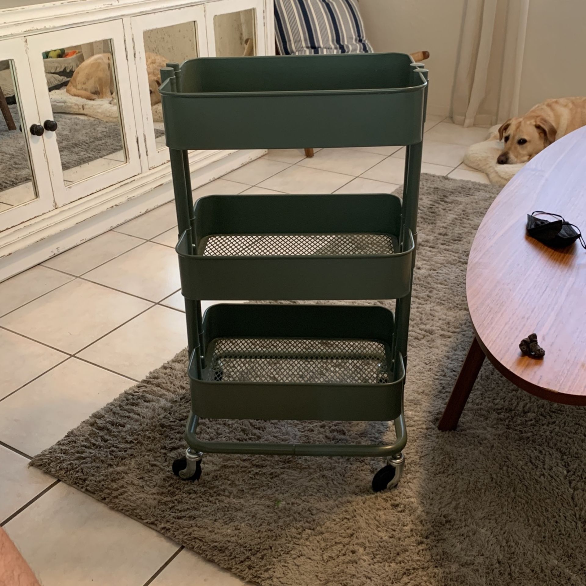 IKEA Raskog Home Kitchen Storage Utility cart (Green)