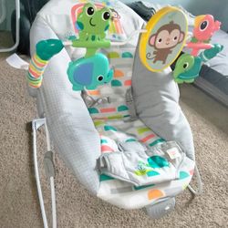 Baby Bouncer