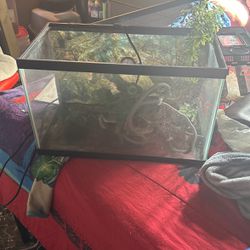Fish Tank / Reptile Tank 