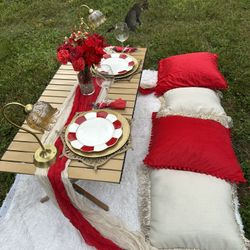 Luxury Picnic Date Service 