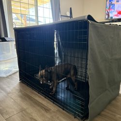 XL Dog Crate And Cover!