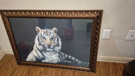 White tiger picture frame
