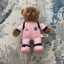 Pink NASA Teddy Bear