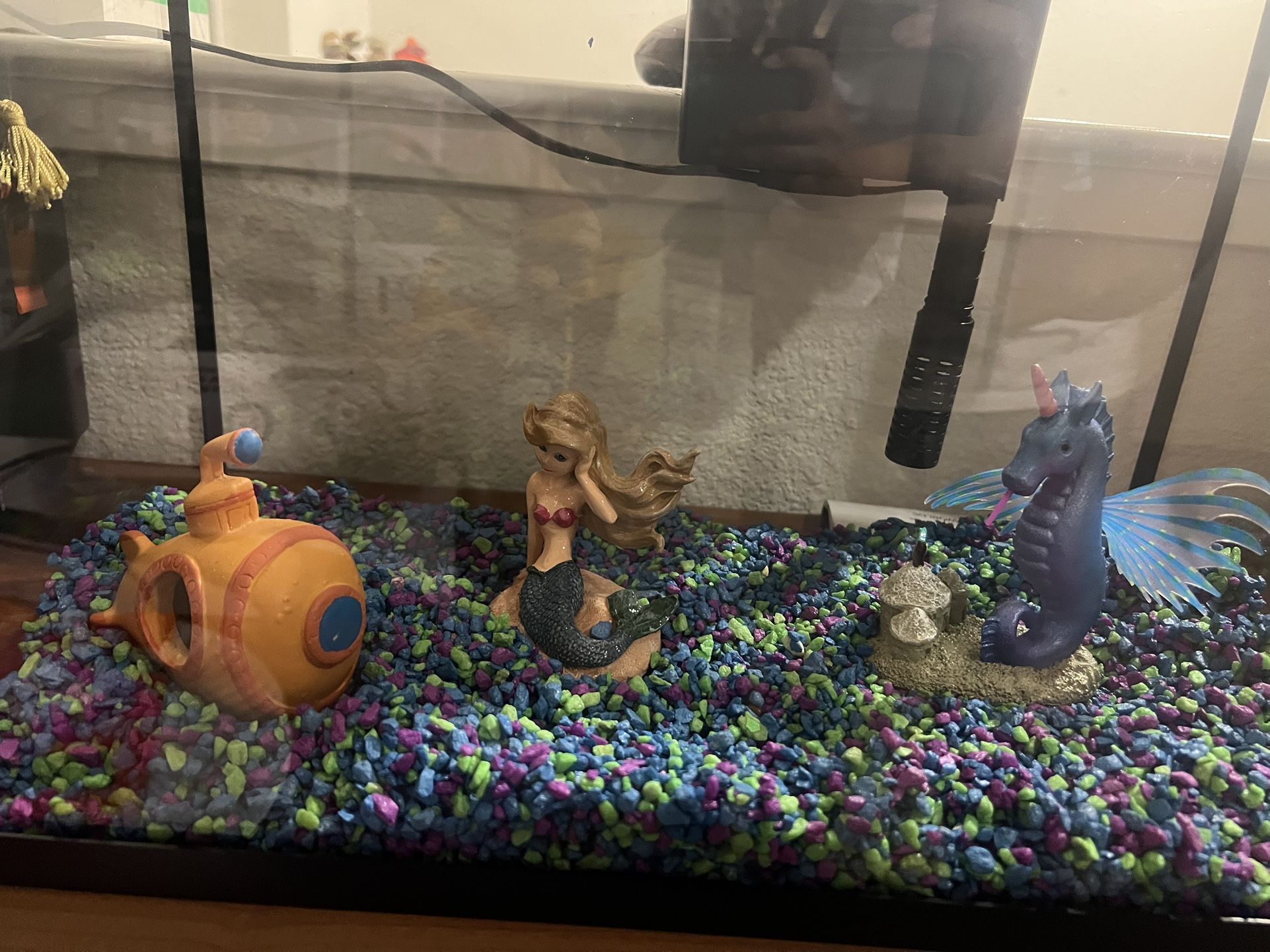 5 Gallon Fish Tank With Filter